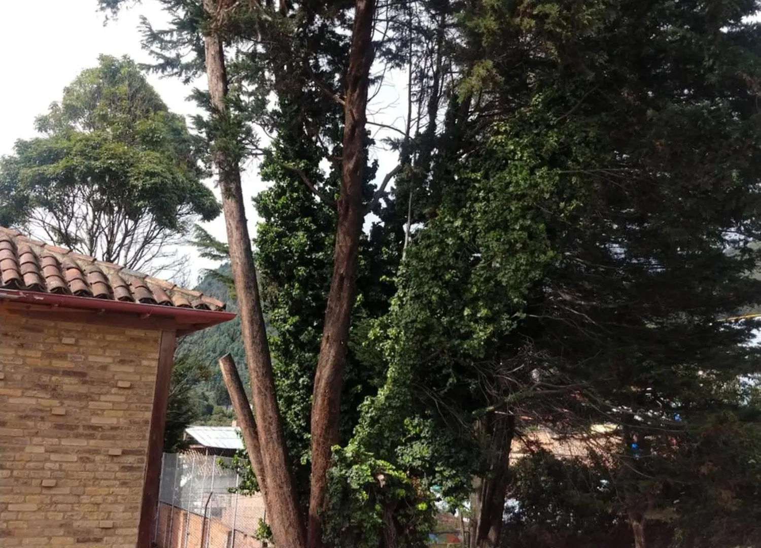 Casa Larimar Apartment Bogota 0*,